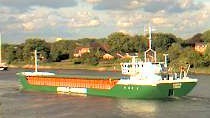 BALTIC AMELIE