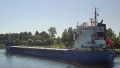 SWE-CARRIER
