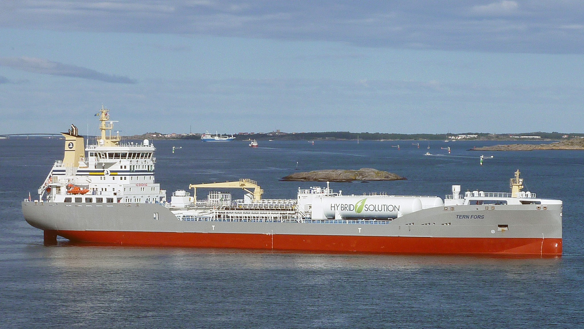 TERN FORS