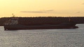 ATLANTIC  MATE