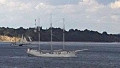 MINERVA [SV]