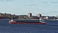MULTRATUG 34